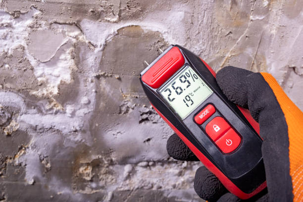 Best Crawl Space Mold Removal  in Linden, TN