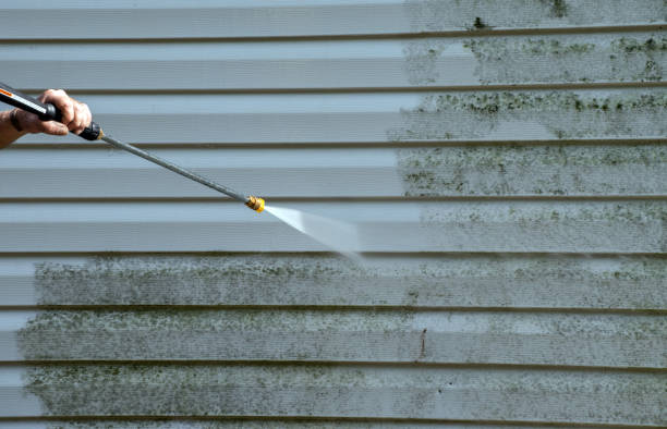 Best Crawl Space Mold Removal  in Linden, TN