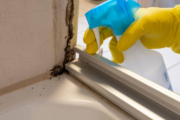 Trusted Linden, TN Mold Removal Experts