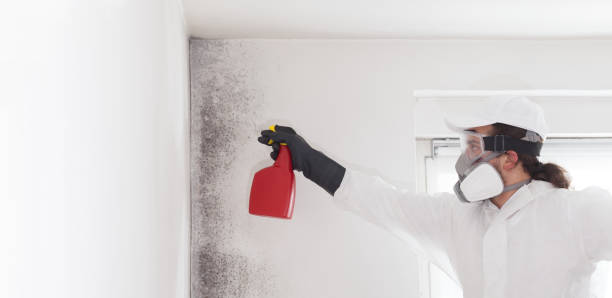 Best Emergency Mold Removal  in Linden, TN