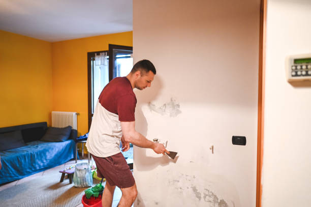 Best Commercial Mold Removal  in Linden, TN